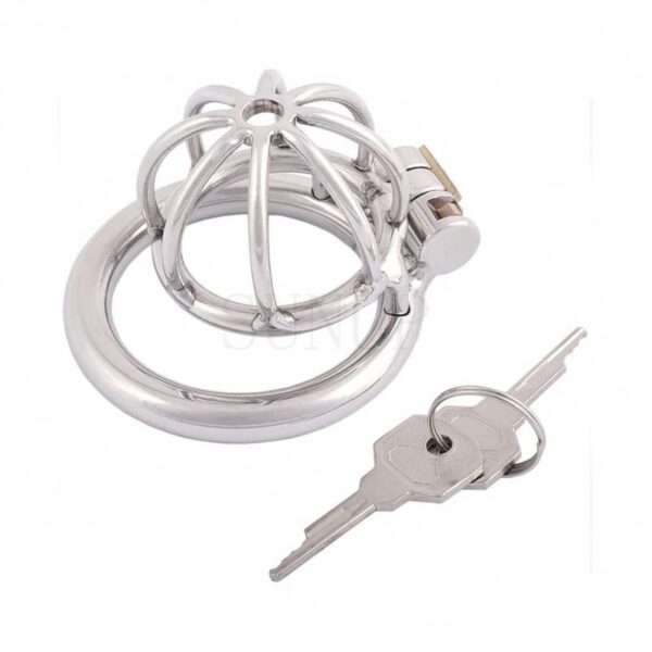 Male Chasitity Penis Cock Cage Metal - 110 - Image 2